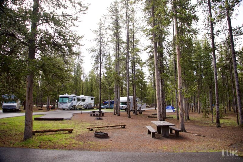 Madison-Campground-Yellowstone-800x534 (2)